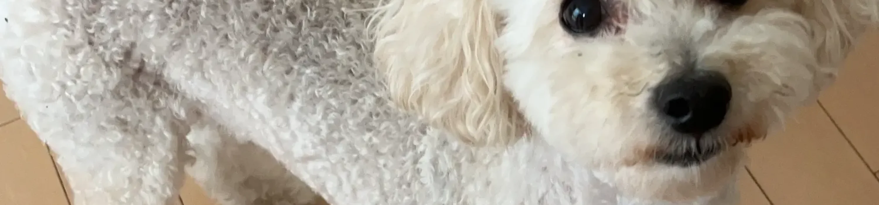 スクリーンショット 2024-11-27 14.14.12